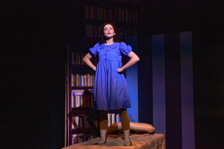 Arroyo Grande High School Theatre Company tackles classic children's story