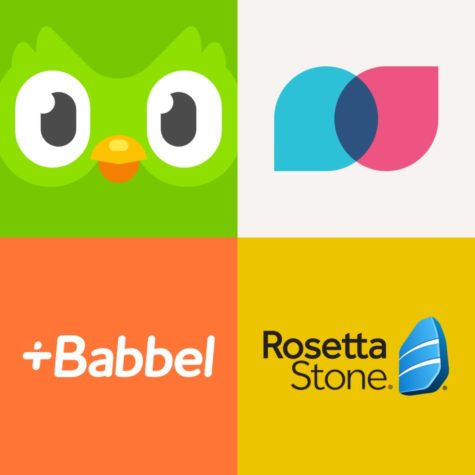 Duolingo (top left), Tandem (top right), Babbel (bottom left) Rosetta Stone (bottom right)