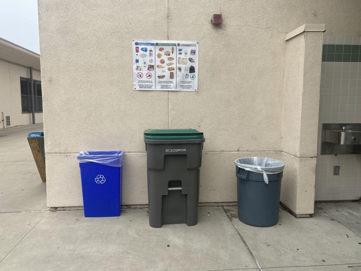 Recycling%2C+compost+bins+with+poster+outside+of+the+Cafeteria+