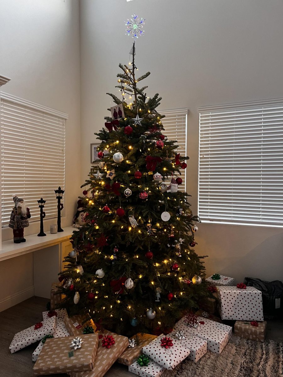 Controversial Opinion: Its ok to put up a Christmas Tree anytime after Thanksgiving. 