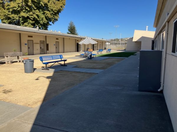 Some benches and turf in the science wing.