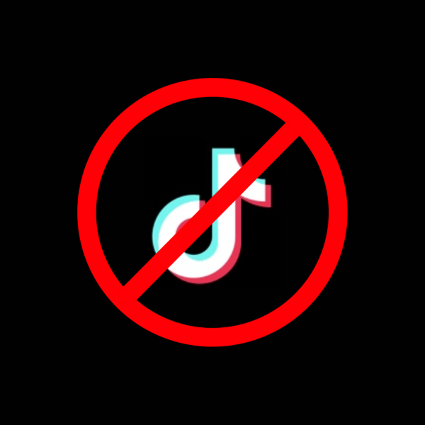 TikTok's ban.
(Made on Canva by Liv Petronella)