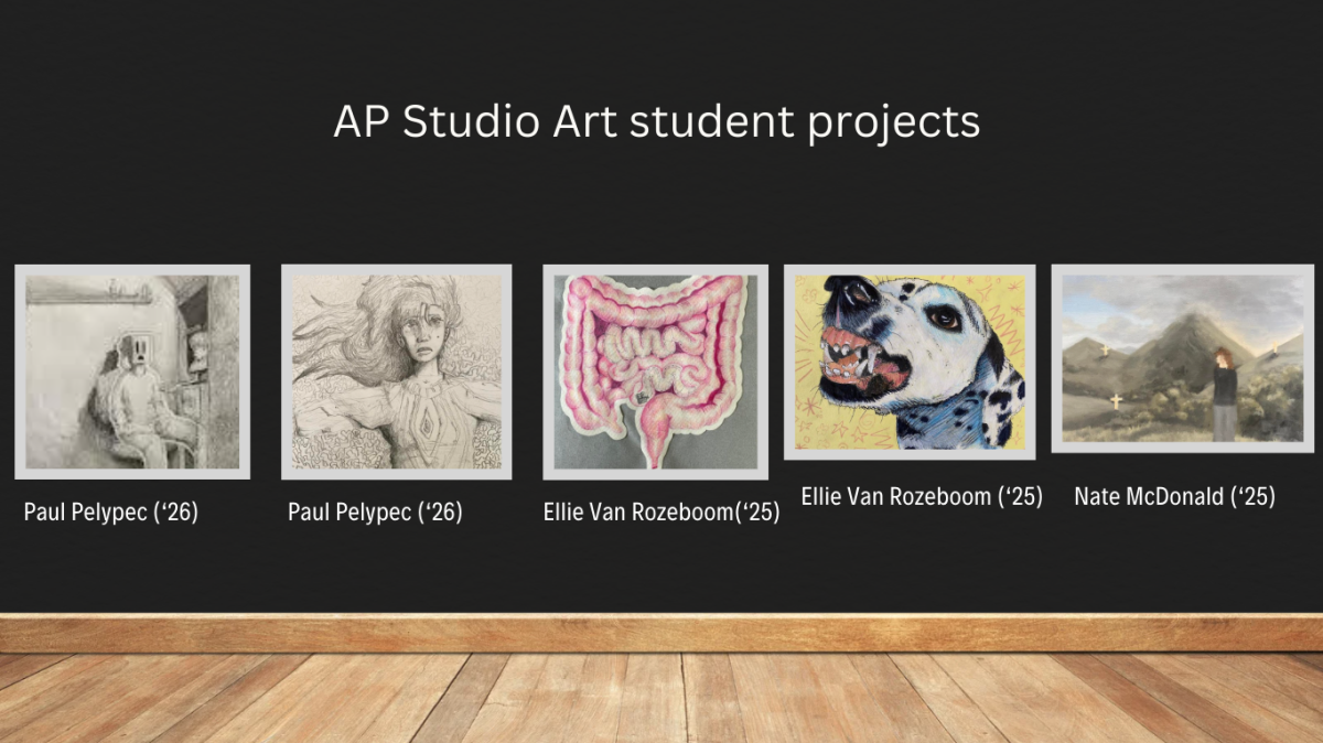 AP Studio Art allows for more student creativity