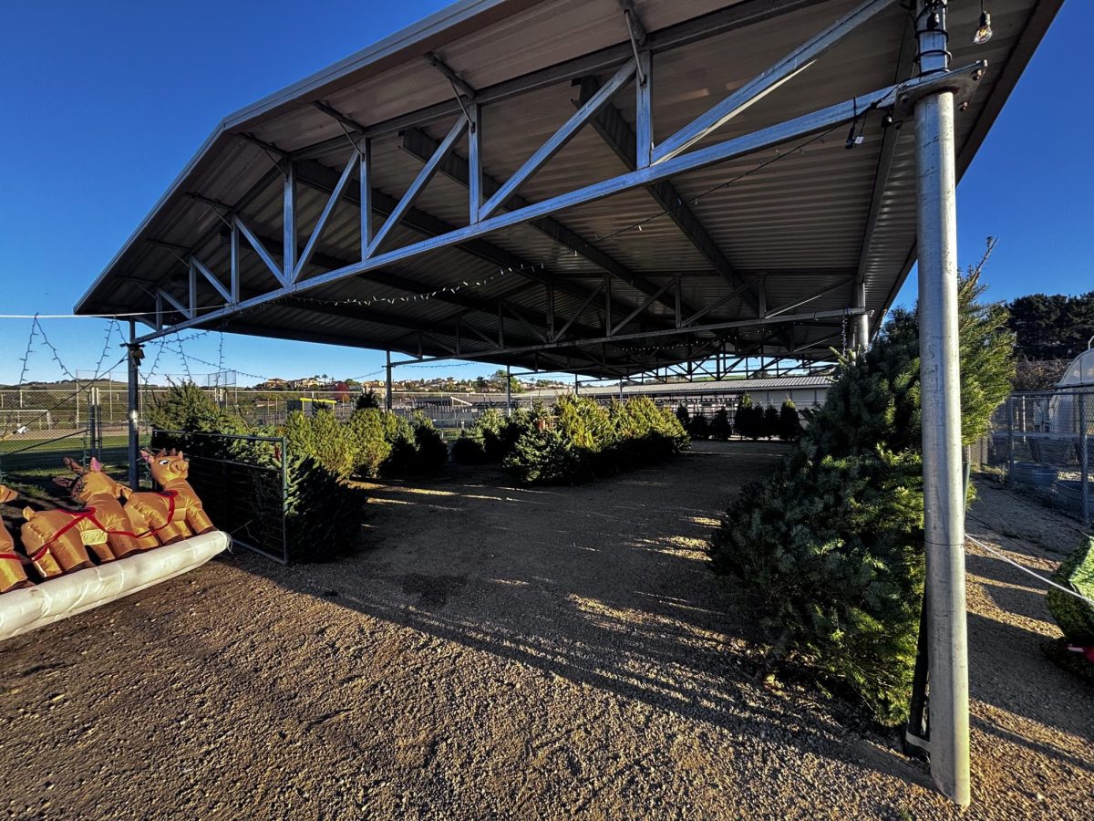The AGHS FFA Chapter has set up it's annual Christmas  tree farm under a protective awning, offering a wide selection of holiday trees to the community.