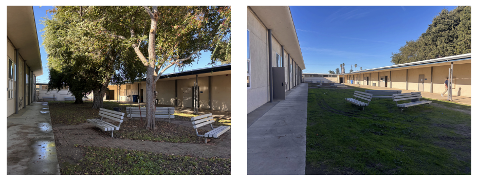 Before and after tree removal in the 200-300 wing, but before mass amounts of dirt were removed to prepare for the turf installation.
