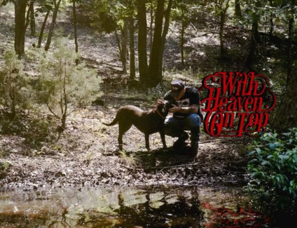 This is the main album cover.