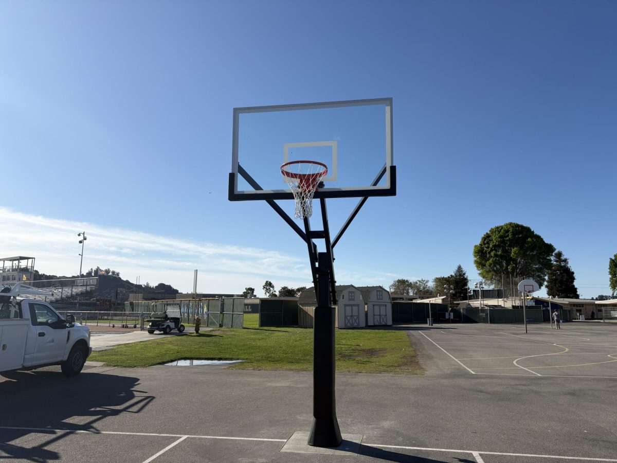 One of the new basketball hoops on the blacktop.