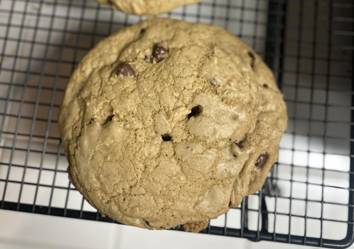 The final product after about 20 minutes in the oven. These cookies are about the size of a hockey puck and absolutely delicious. 