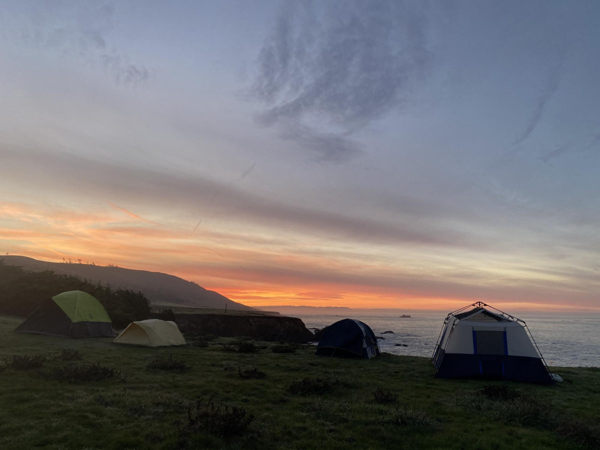 The camp site of the last science trip to Rancho Marino Research Preserve. 