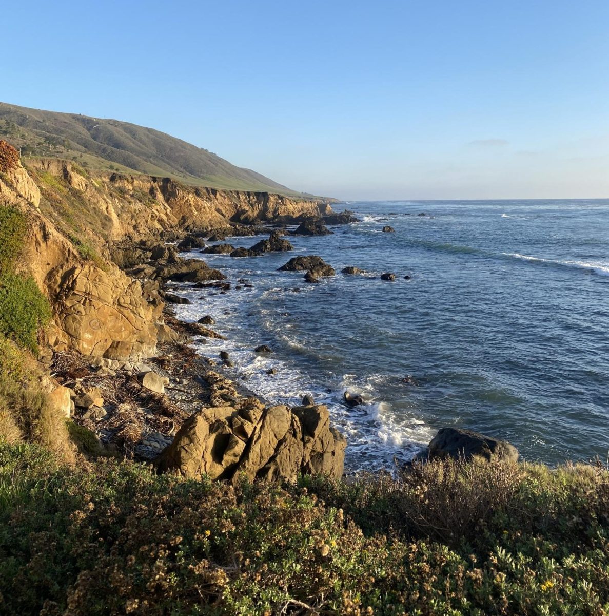 The cliffs at Rancho Marino Reserve in Cambria. (Photo Courtesy of Katie Boos)