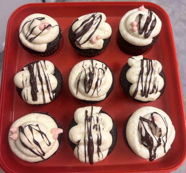 I also added some chocolate drizzle to my cupcakes, which was not included in the recipe but added a nice touch. 