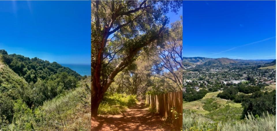 The Five cities and San Luis Obispo County is filled with diverse hiking trails, from overlooking the ocean to endless mountains and trees.