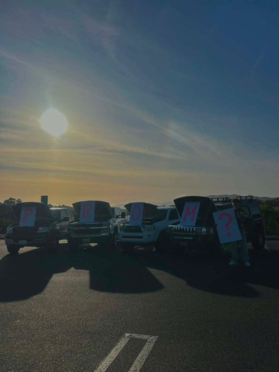 Zach Sumner asked Abby Espinosa to 2026 AGHS Prom. Photo Courtesy of Abby Espinosa.