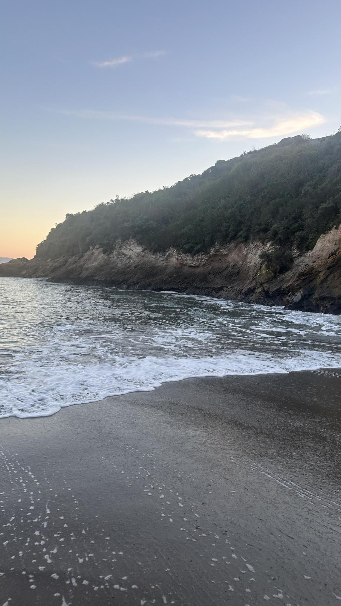 The rocky shore coastline with lush vegetation along the Central Coast. (Photo courtesy of Jaxon Lacey) 